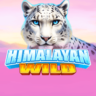 Himalayan Wild icon
